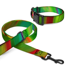 Load image into Gallery viewer, Ti Leaf Series 4 Pet collar & leash