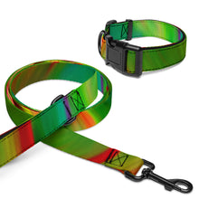 Load image into Gallery viewer, Ti Leaf Series 4 Pet collar & leash