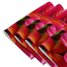 Load image into Gallery viewer, Manaʻolana Placemat Set